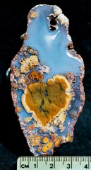 Bouquet Agate