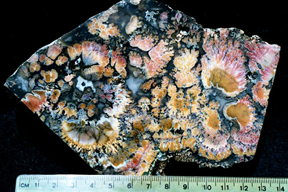 Bouquet Agate